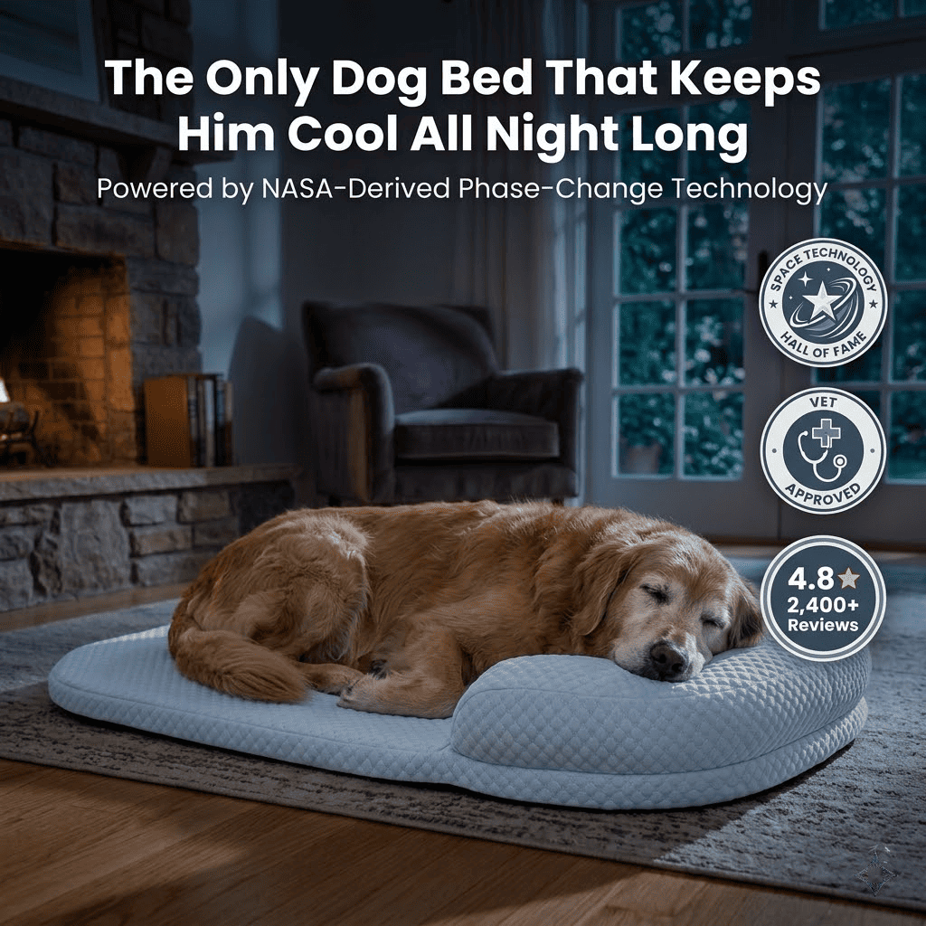 ARCTICPAWS™ Phase-Restore Cooling Bed