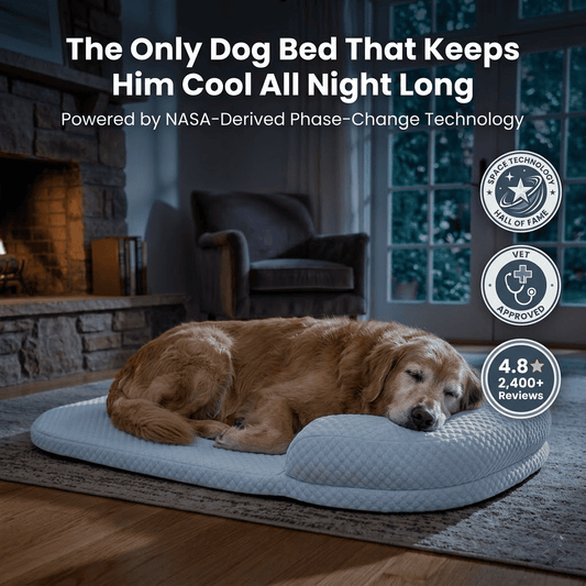 ARCTICPAWS™ Phase-Restore Cooling Bed