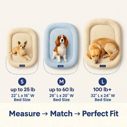 CoolCore™ Bed — 12 Hours of Nonstop Cooling Relief