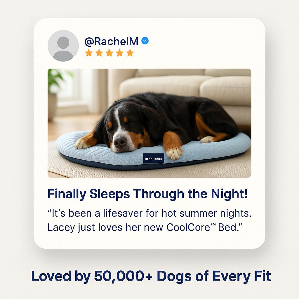 CoolCore™ Bed — 12 Hours of Nonstop Cooling Relief