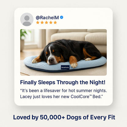 CoolCore™ Bed — 12 Hours of Nonstop Cooling Relief