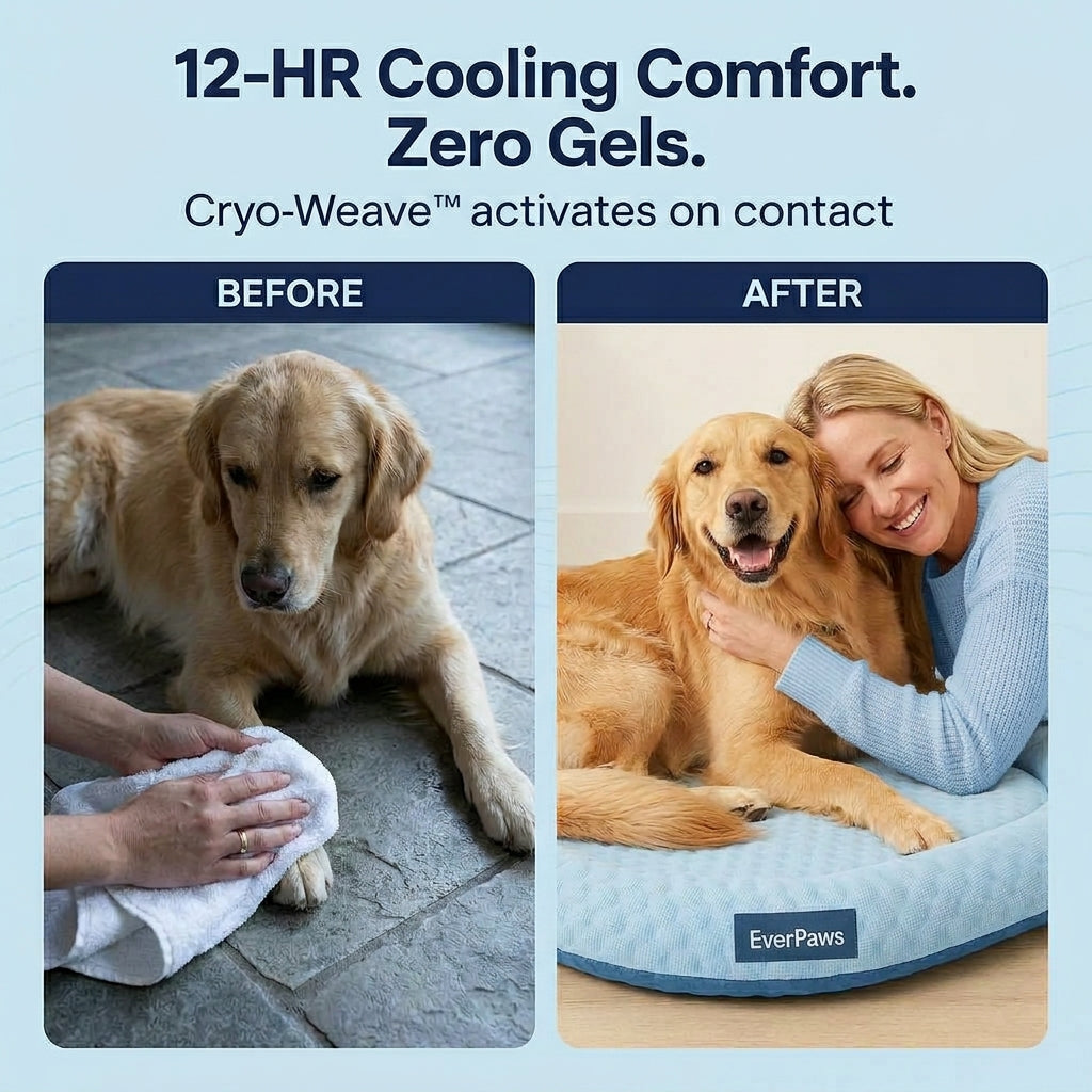 CoolCore™ Bed — 12 Hours of Nonstop Cooling Relief