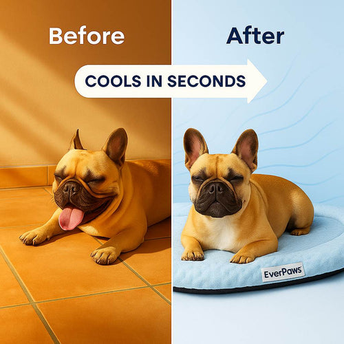 CoolCore™ Bed — 12 Hours of Nonstop Cooling Relief