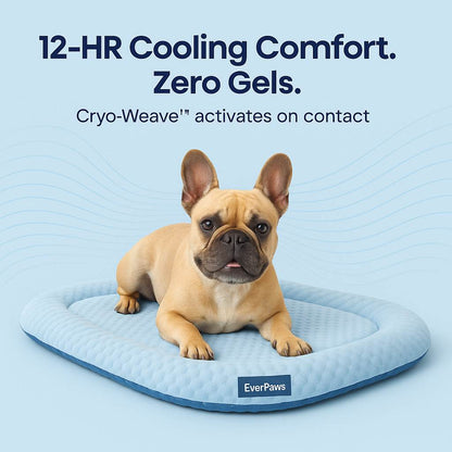 CoolCore™ Bed — 12 Hours of Nonstop Cooling Relief