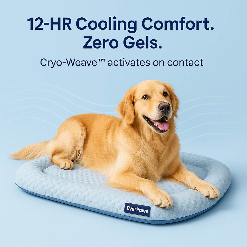 CoolCore™ Bed — 12 Hours of Nonstop Cooling Relief