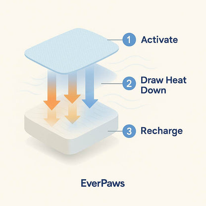 CoolCore™ Bed — 12 Hours of Nonstop Cooling Relief