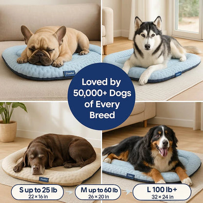 CoolCore™ Bed — 12 Hours of Nonstop Cooling Relief