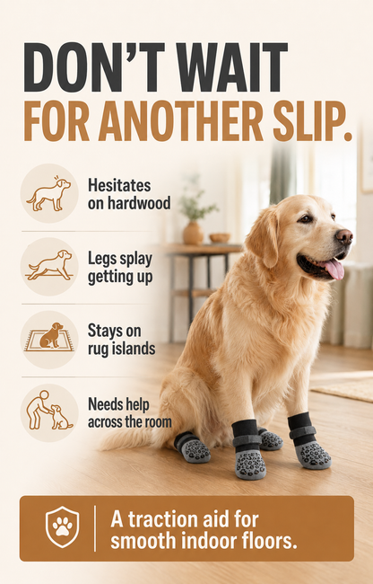 Signs a dog may need additional traction on smooth indoor floors