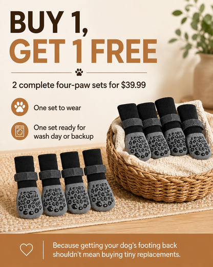 EverPaws SecureStep buy one get one free offer